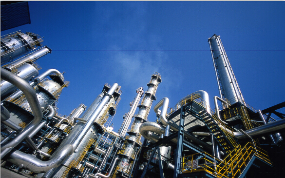 2019�й������Ǳ�ѧ��ѧ������ھ�¡�ؾٰ�