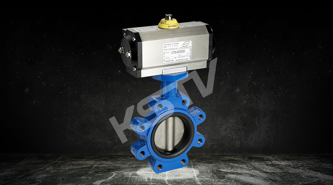 ����͹������